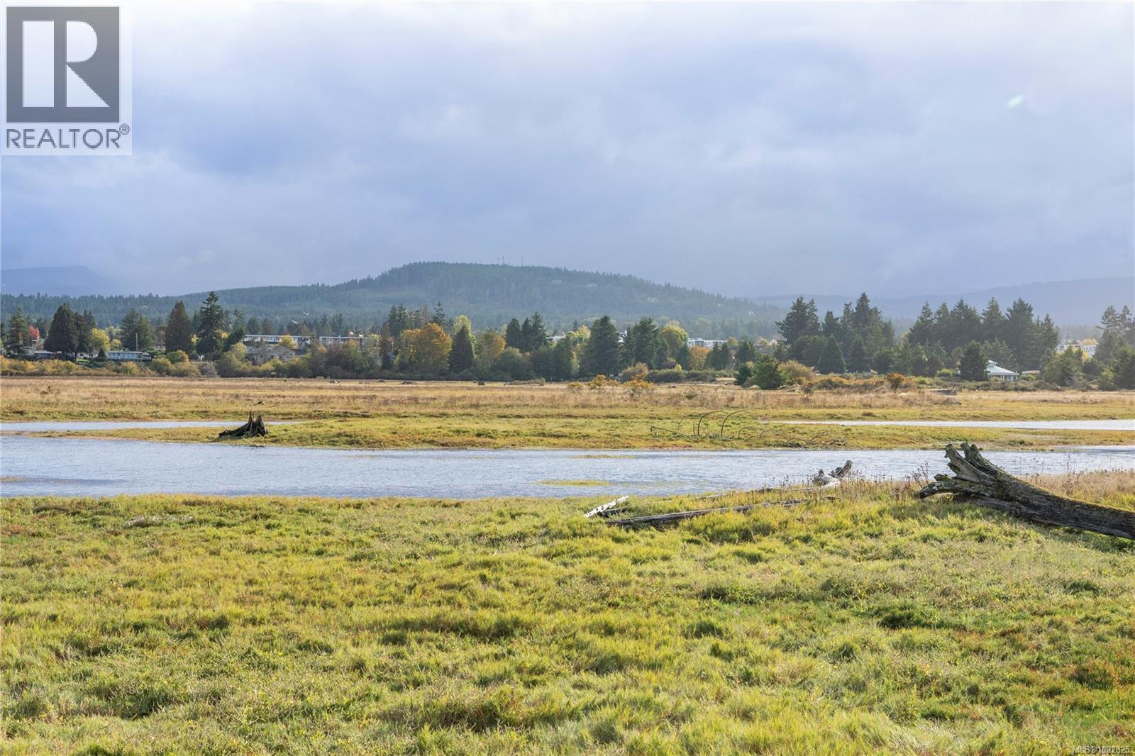 #208 200 Corfield St - 32