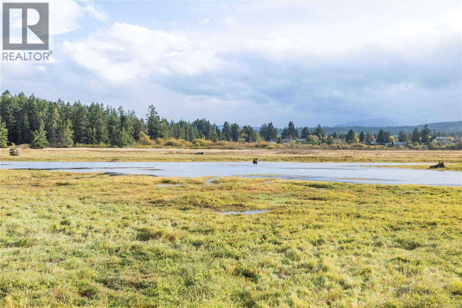 #208 200 Corfield St - 31