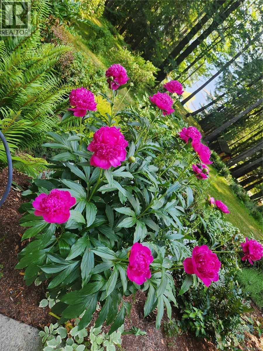 8965 Meades Creek Rd - 79