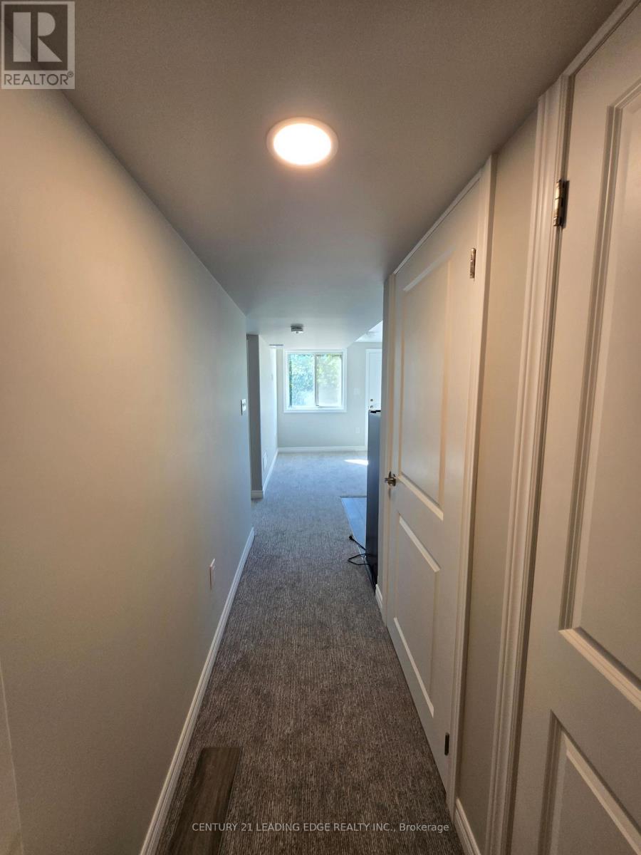 66 WILLSON DRIVE - 18