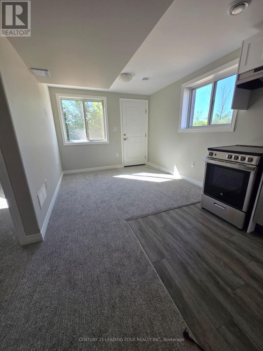 66 WILLSON DRIVE - 19