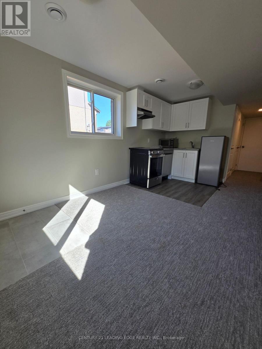 66 WILLSON DRIVE - 20
