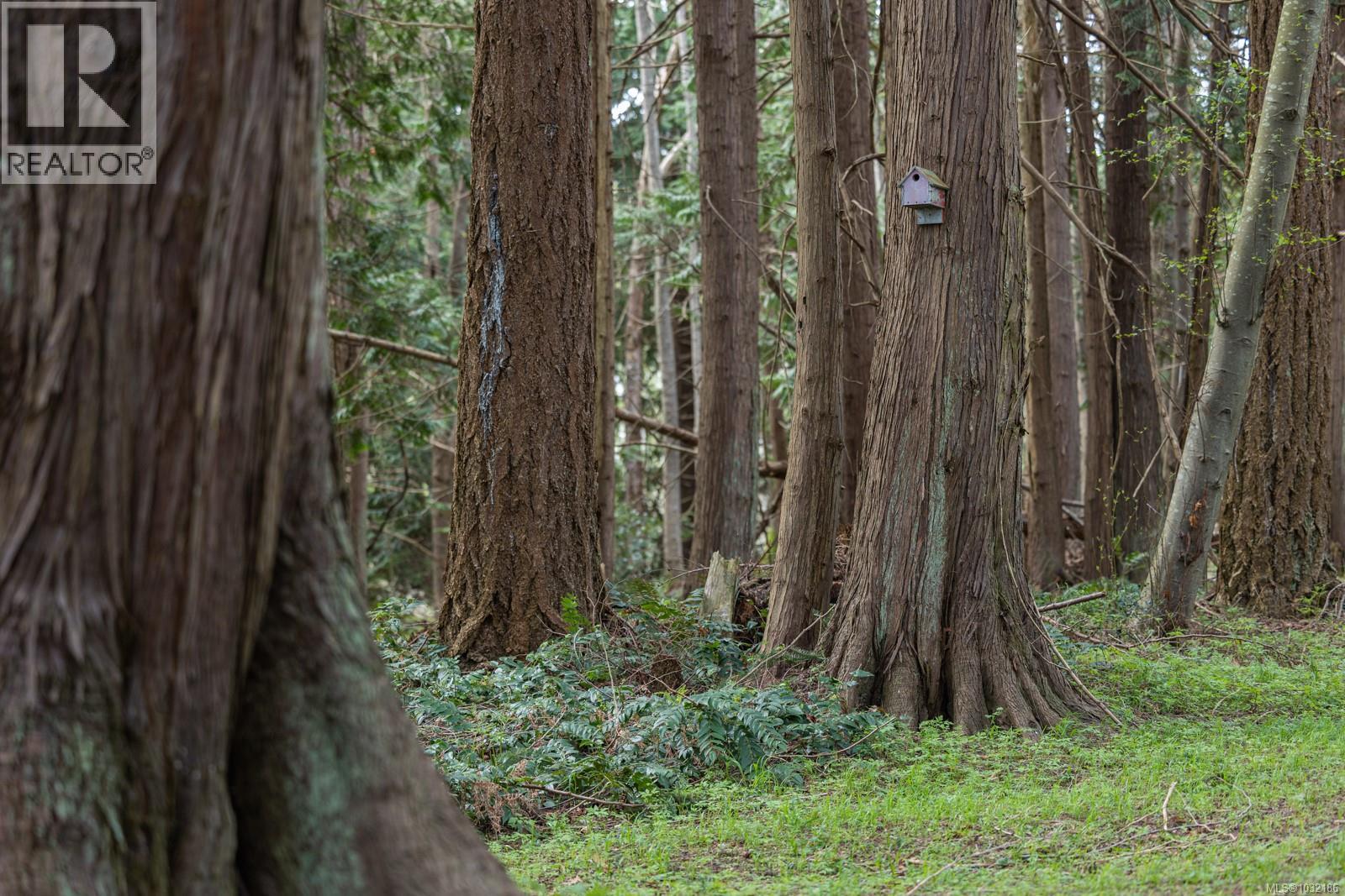 East Rd, Denman Island