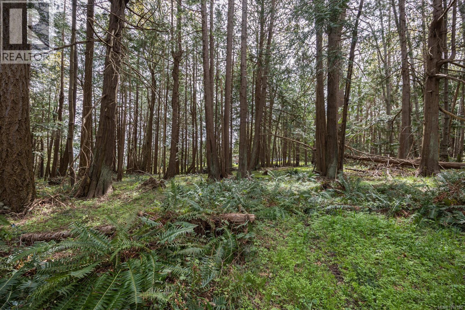 East Rd, Denman Island