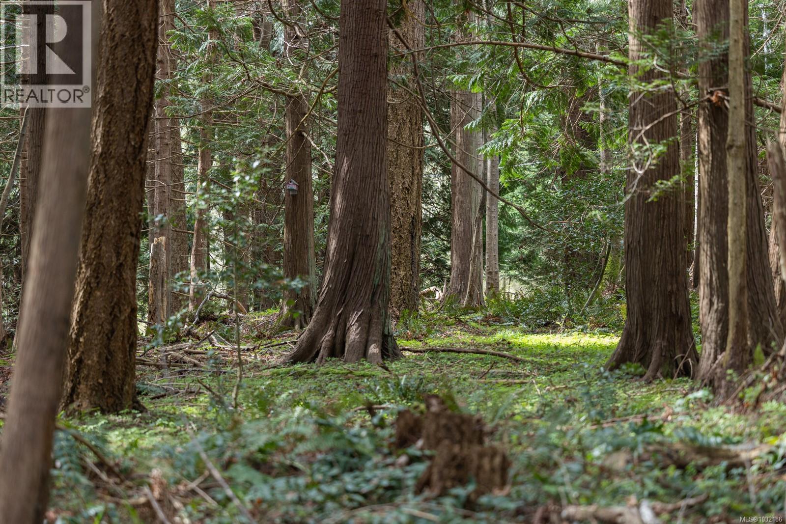 East Rd, Denman Island