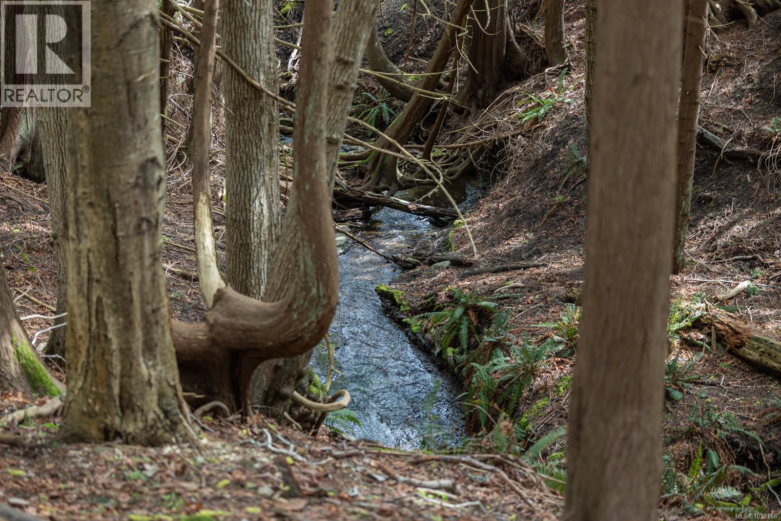 East Rd, Denman Island