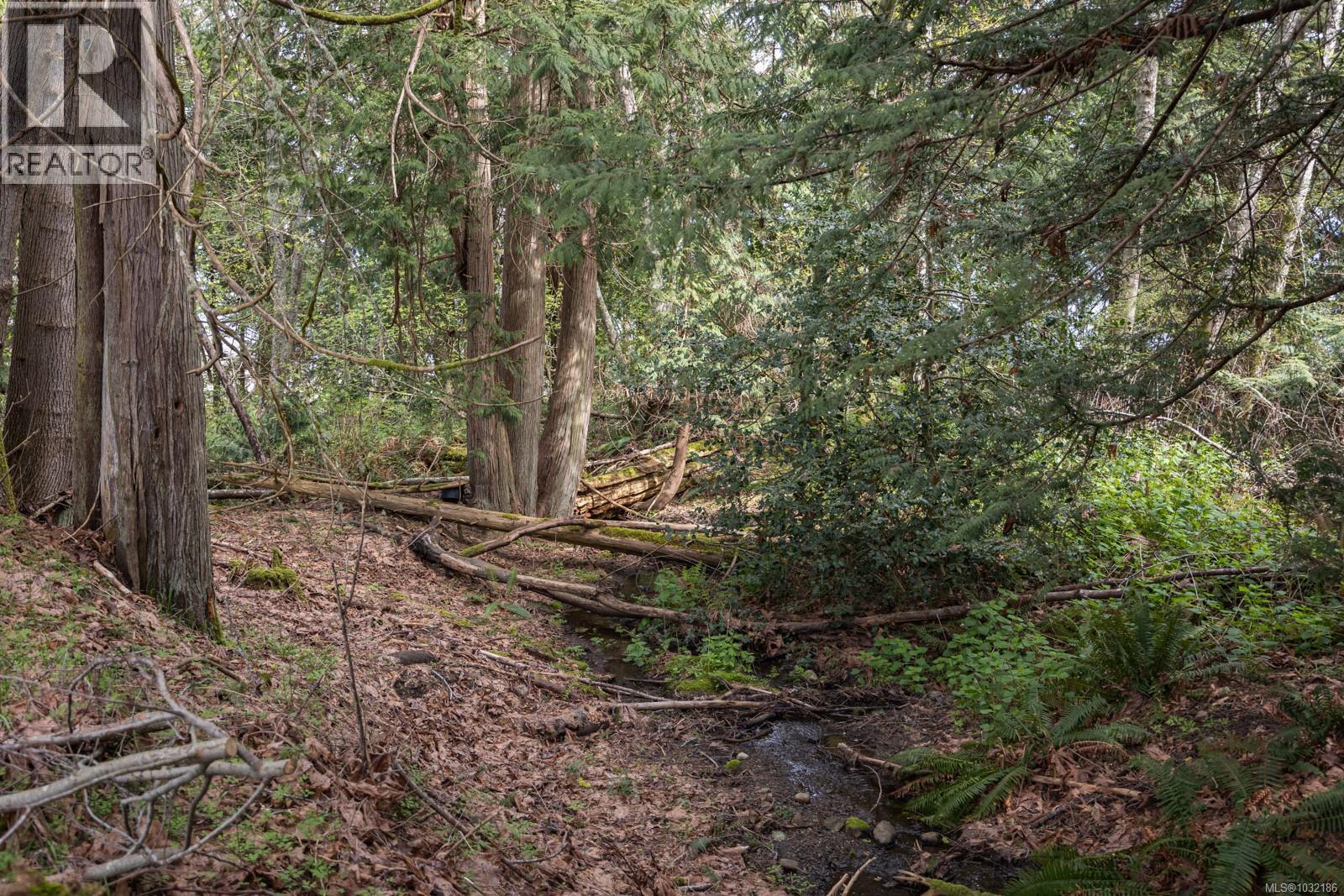 East Rd, Denman Island