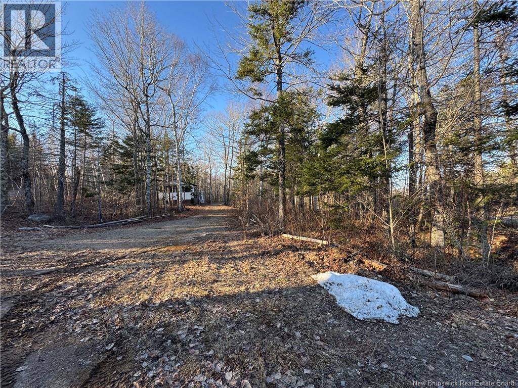 CAMP LAKE Road — photo 33