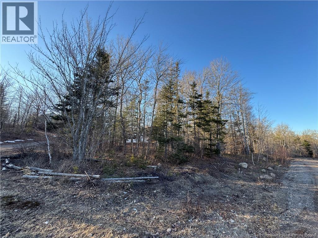 CAMP LAKE Road — photo 34
