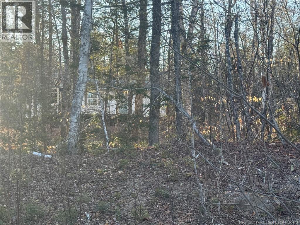 CAMP LAKE Road — photo 36