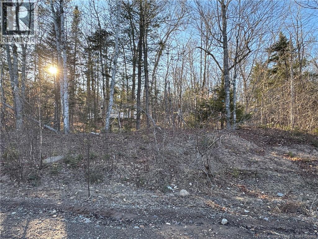 CAMP LAKE Road — photo 37