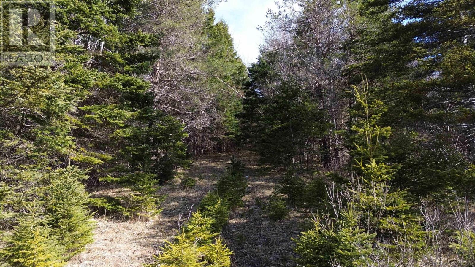 Property 8 of 11 of Lot 1 NO 105 Highway, B0E 1B0