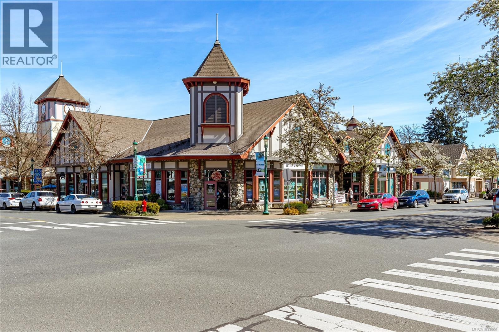 #9 850 ARBUTUS ST - 30