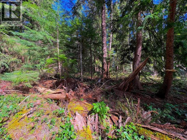 1251 VANCOUVER BLVD, Savary Island