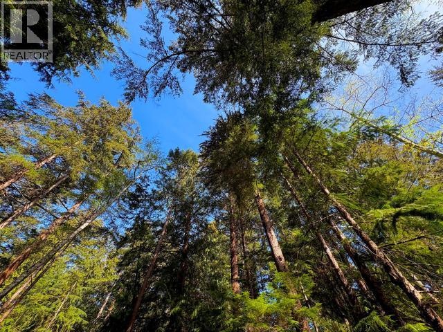 1251 VANCOUVER BLVD, Savary Island