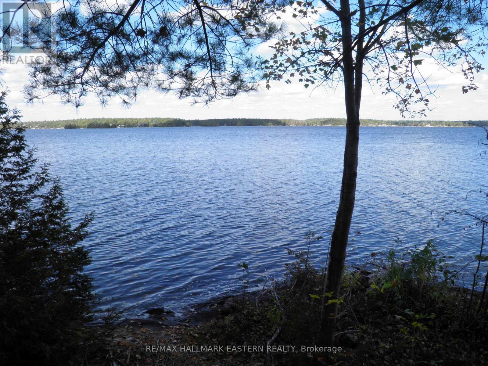 Beautiful views of Stoney Lake