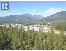 1105 S 5 Highway, Valemount, BC V0E2Z0 Photo 6