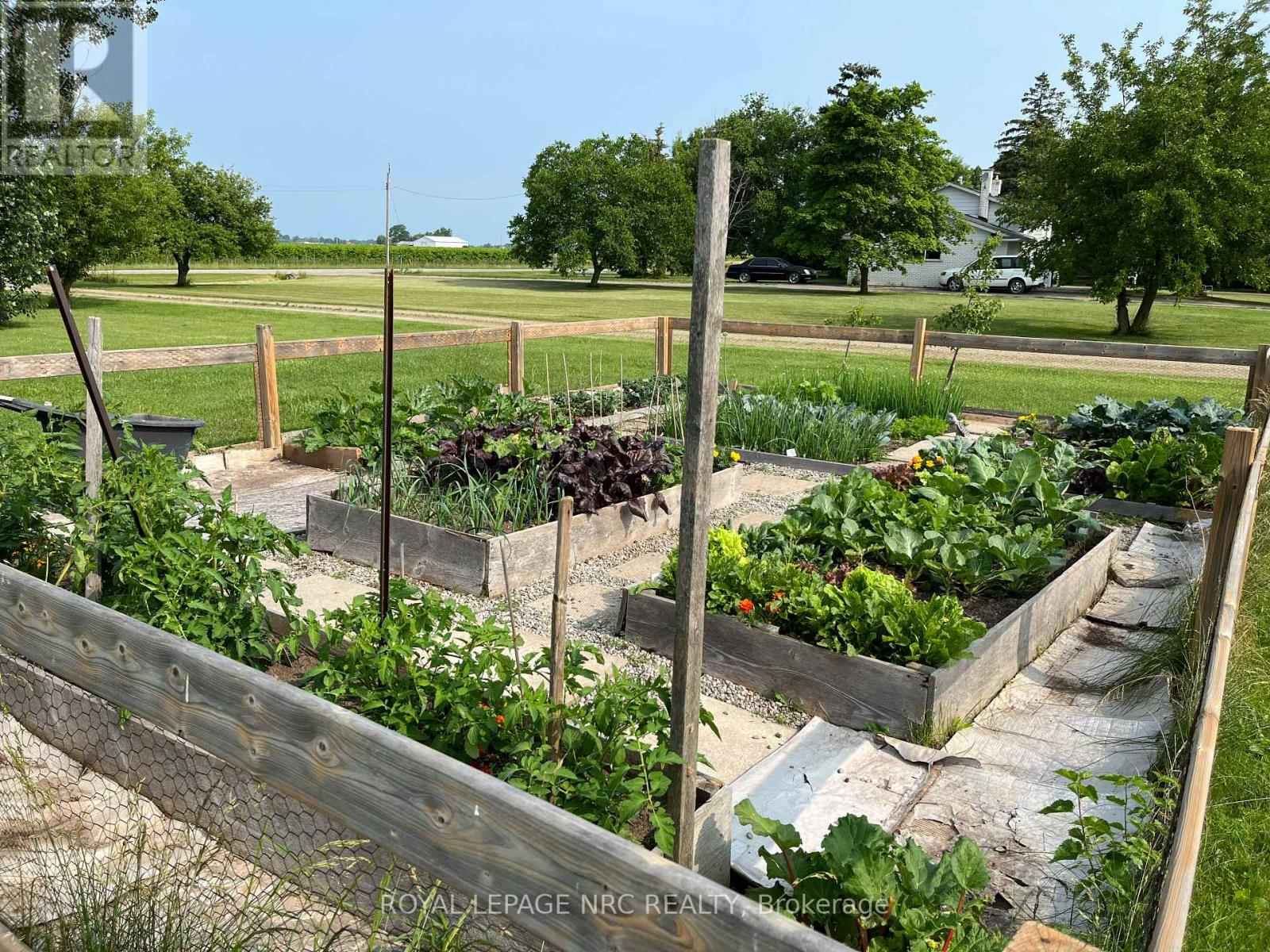 EXISTING VEGETABLE GARDEN SET UP