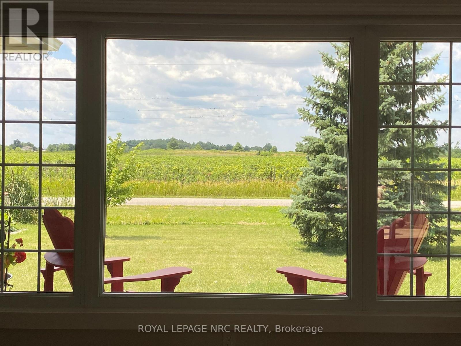 VIEWS OF THE GRAPEVINES AND COUNTRYSIDE