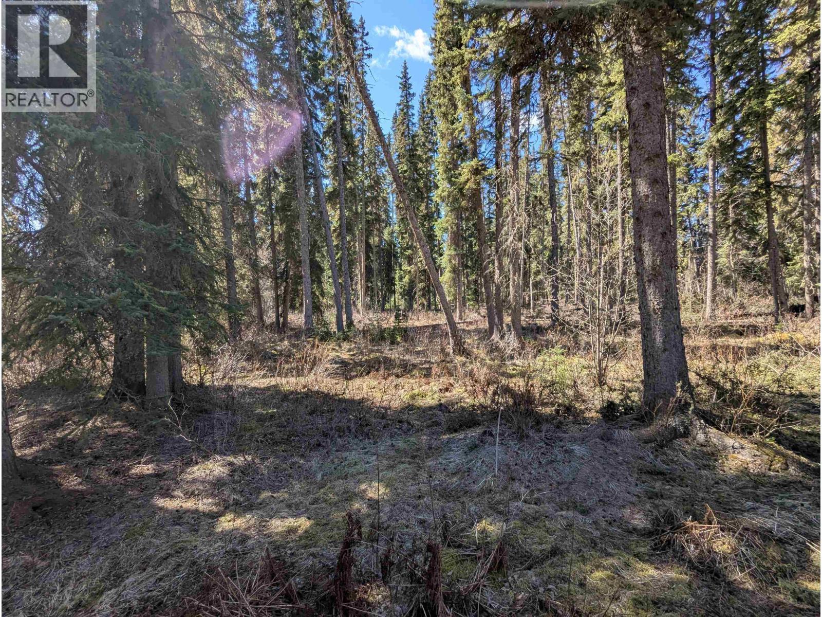 7133 ADAMS Road, Smithers