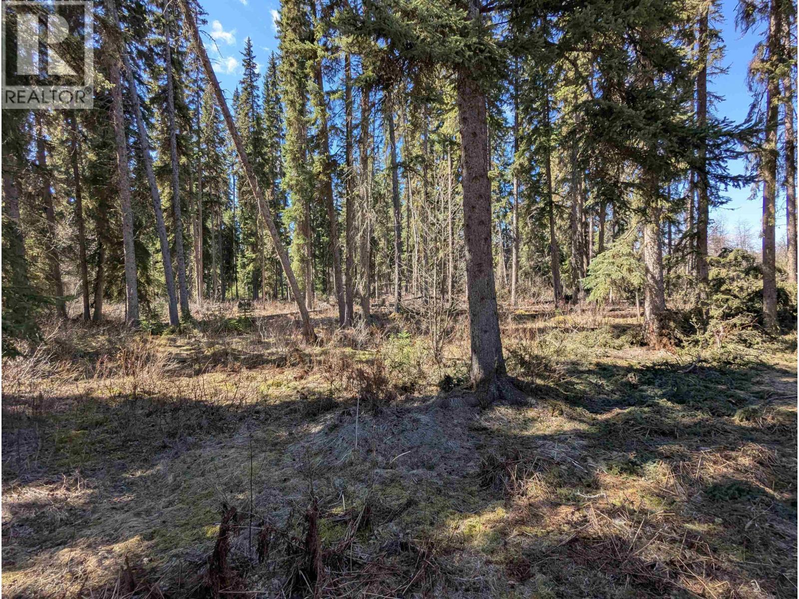 7133 ADAMS Road, Smithers