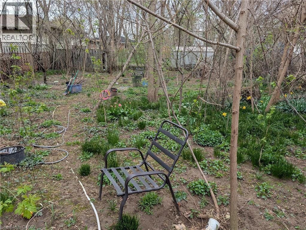 Expansive garden area featuring established foliage and early spring blooms