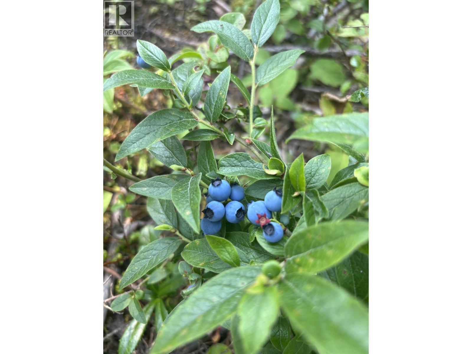 Photo 9 of 12 — 8205 GLADTIDINGS DRIVE · Prince George, BC