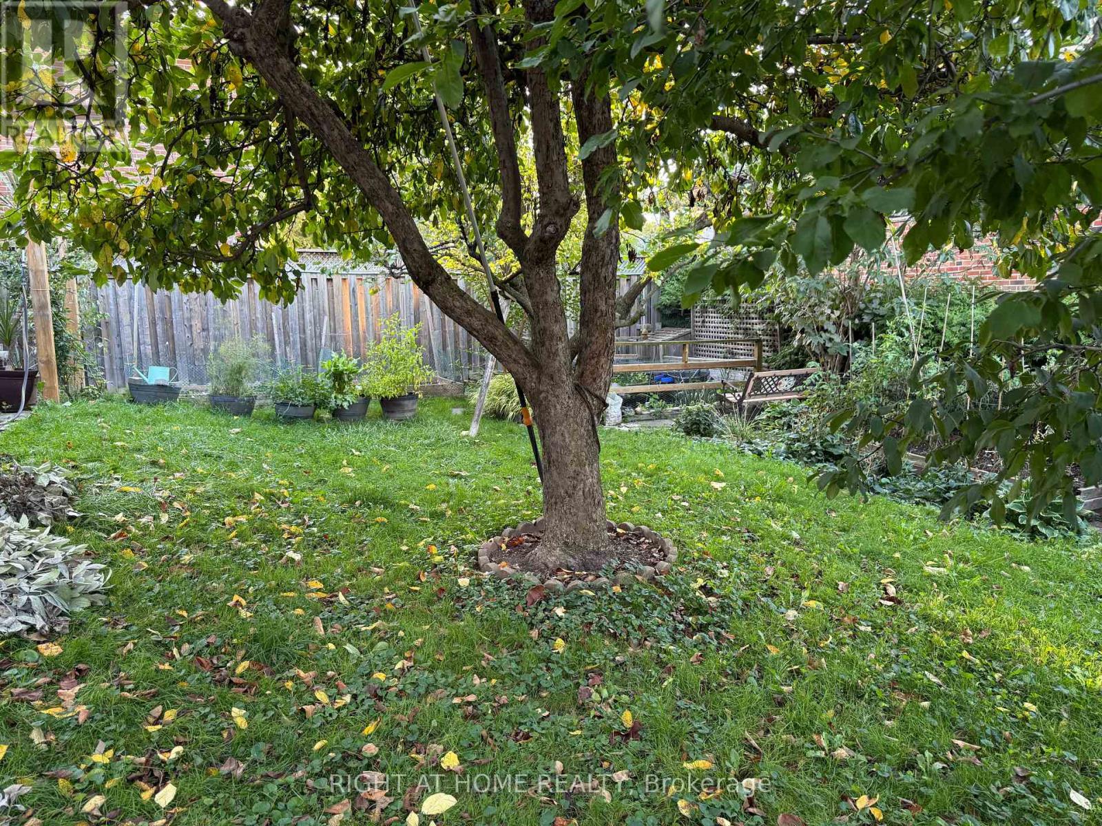 258 LA ROSE AVENUE - 4