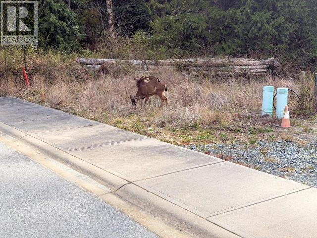 Lot 2 BOWNESS AVE, Powell River