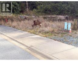 Lot 2 Bowness Ave, Powell River, BC  Photo 7