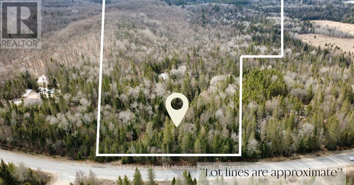 Approximate lot lines from the road