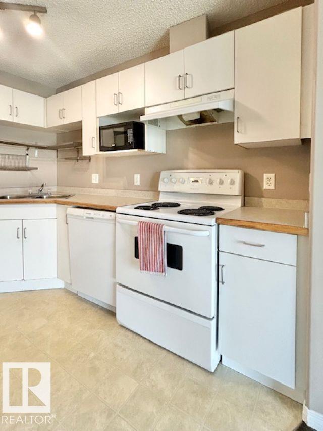 #413 11325 83 ST NW, Edmonton