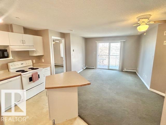 #413 11325 83 ST NW, Edmonton