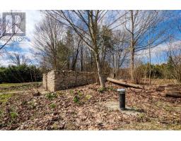 019556 Highway 6, South Bruce Peninsula, ON N0H2T0 Photo 18