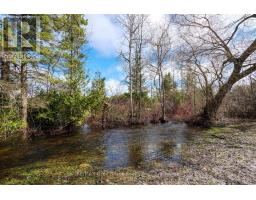 019556 Highway 6, South Bruce Peninsula, ON N0H2T0 Photo 38