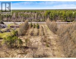 Part Of Lot 25 Road, Clarence Rockland, ON K0A1E0 Photo 15