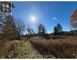 1343 Sunningdale Road E, London North, ON N5X4B1 Photo 6