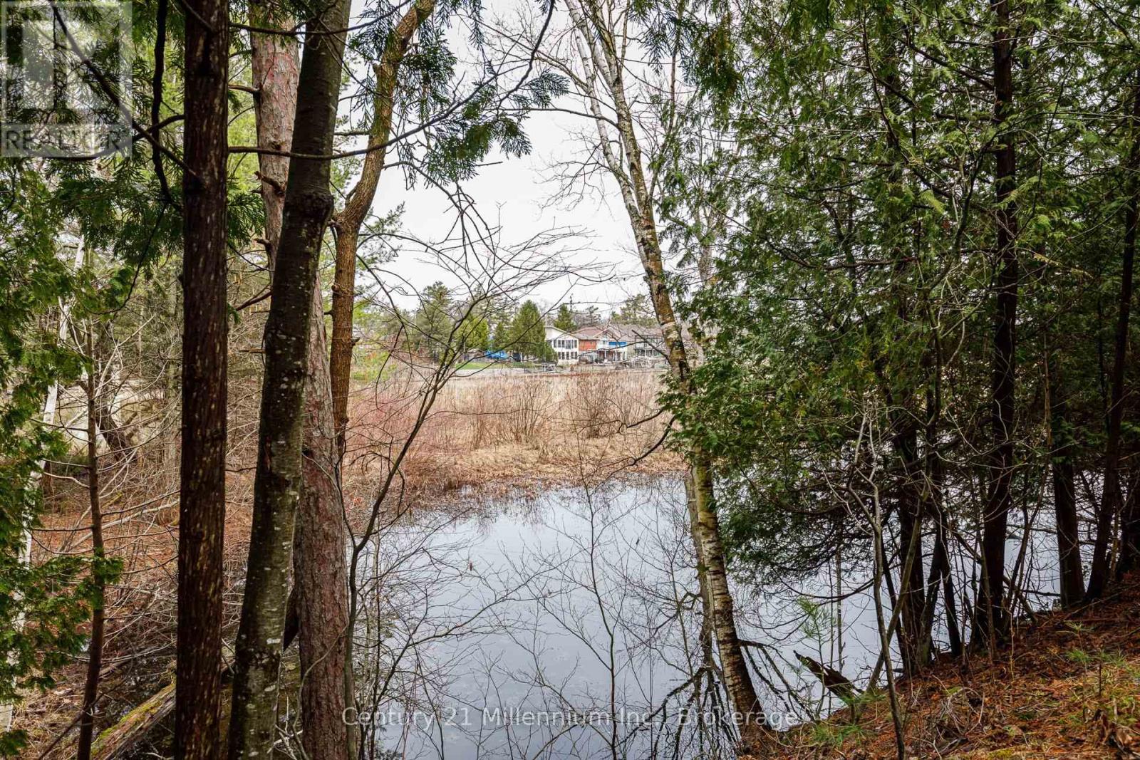 Small Pond on Town Property