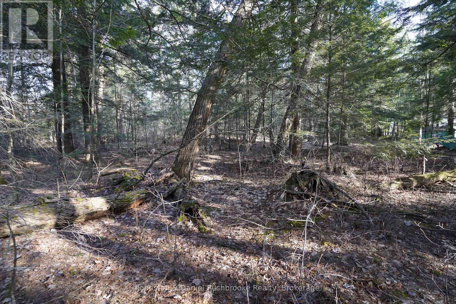 LOT 1 WEST BEAR LAKE ROAD — photo 15