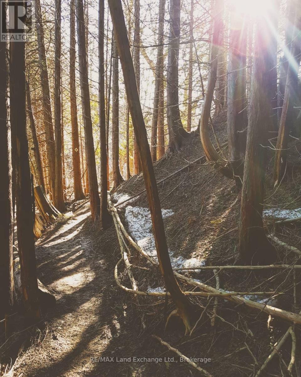 Hiking Trail