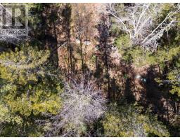 Lot 17, Boutilier Branch Road, Kemptville, NS B5A5P3 Photo 26