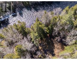 Lot 17, Boutilier Branch Road, Kemptville, NS B5A5P3 Photo 28