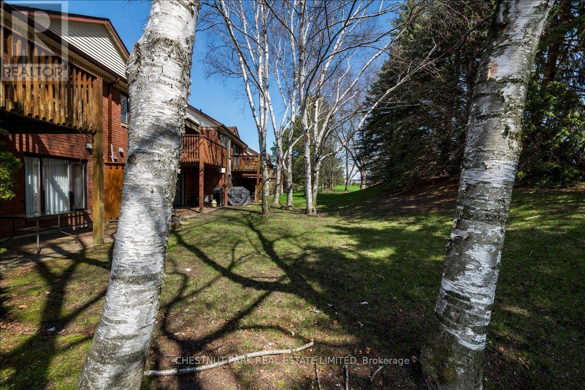 138 GREEN BRIAR ROAD — photo 23