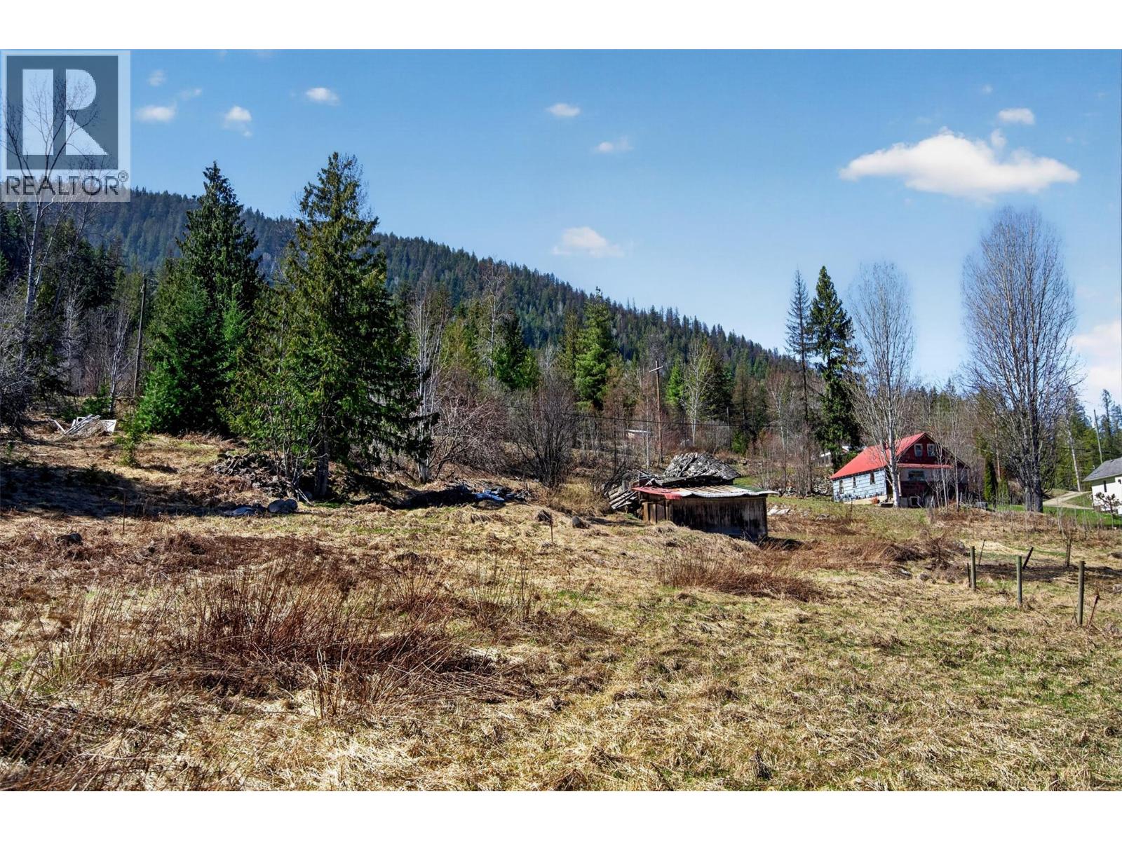  2619 Silver King Road Other, Nelson