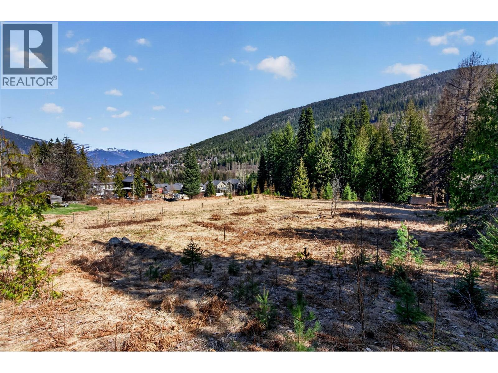  2619 Silver King Road Other, Nelson