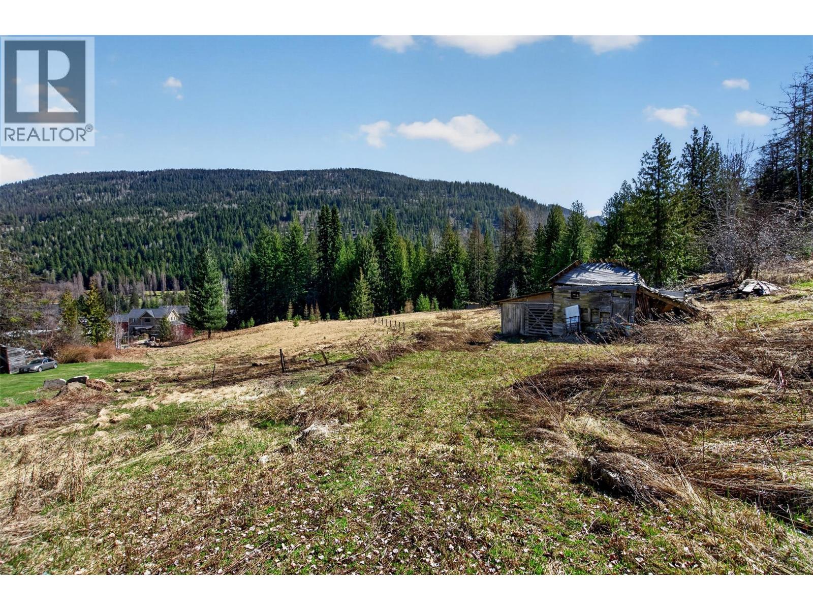  2619 Silver King Road Other, Nelson