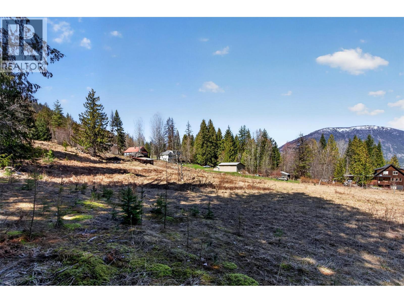  2619 Silver King Road Other, Nelson