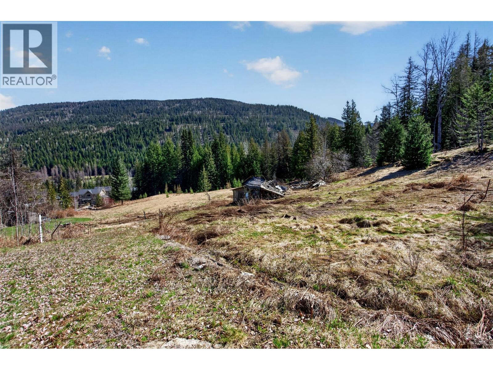  2619 Silver King Road Other, Nelson