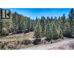 Lot 44 Cooper Road, Windermere, BC V0B2L0 Photo 8