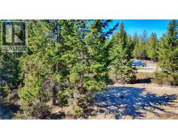 Lot 44 Cooper Road, Windermere, BC V0B2L0 Photo 10